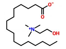 離子液體膽堿棕櫚酸鹽